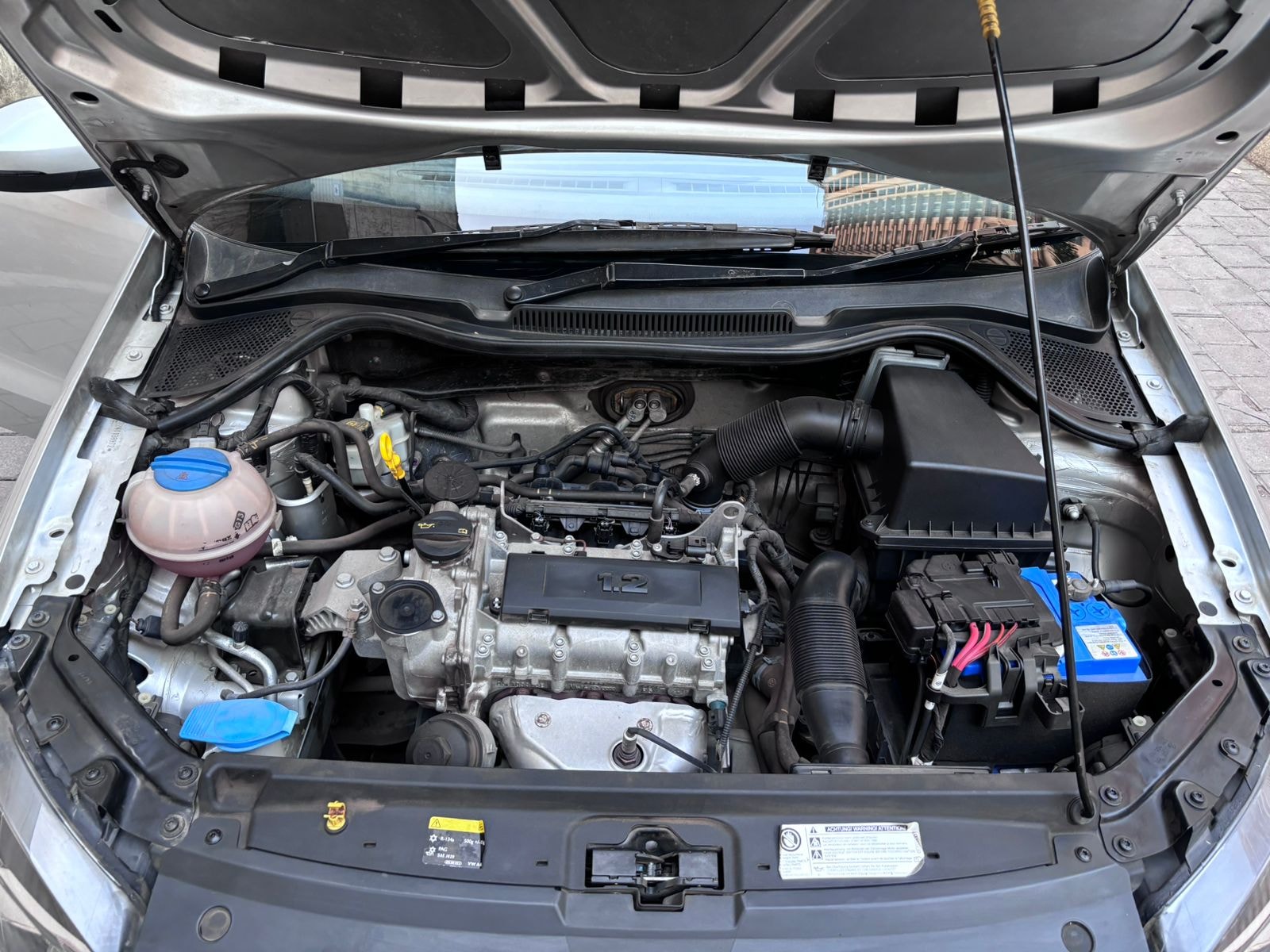 Polo image 16 Polo image 16