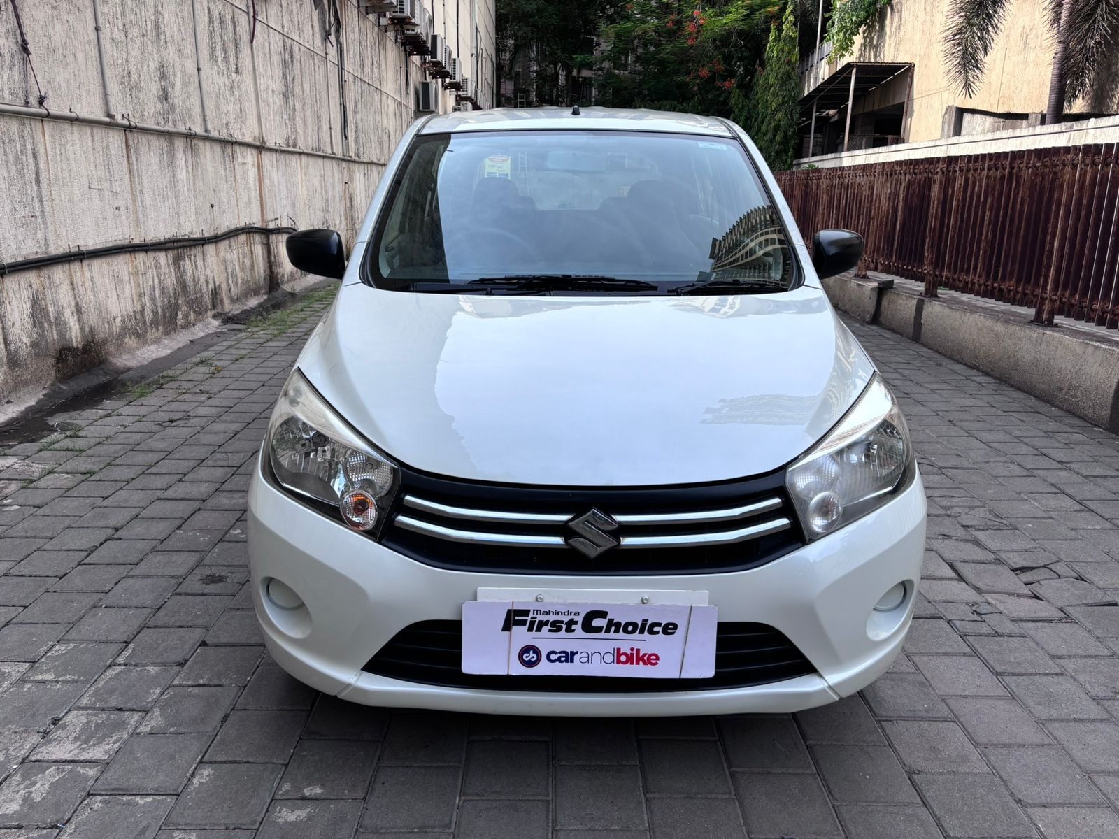 Celerio image 1 Celerio image 1