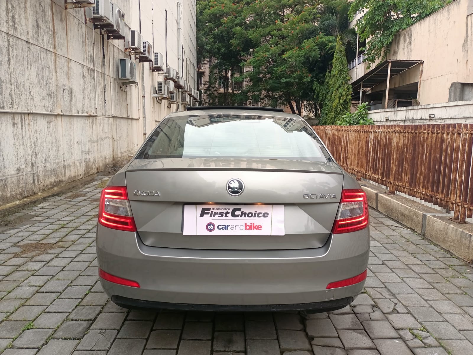 Octavia image 4 Octavia image 4