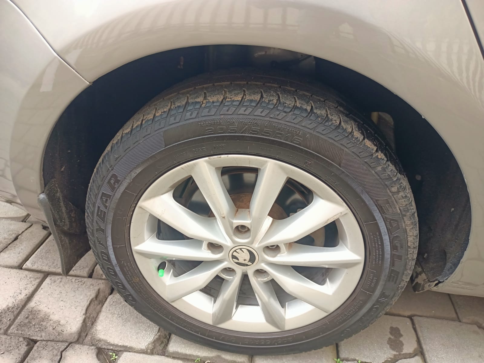 Octavia image 9 Octavia image 9