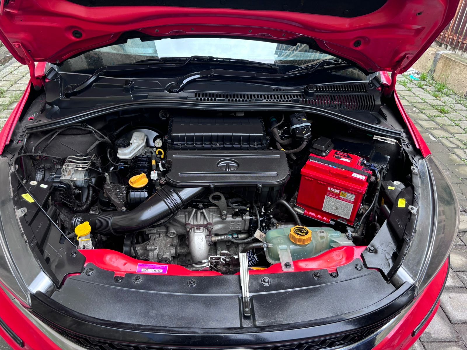 Tiago image 5 Tiago image 5