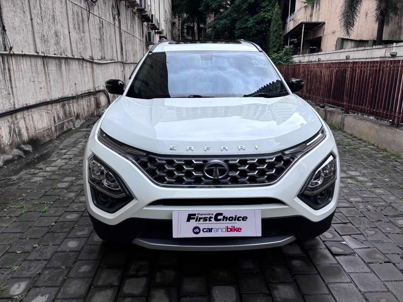 Safari image 1 Safari image 1