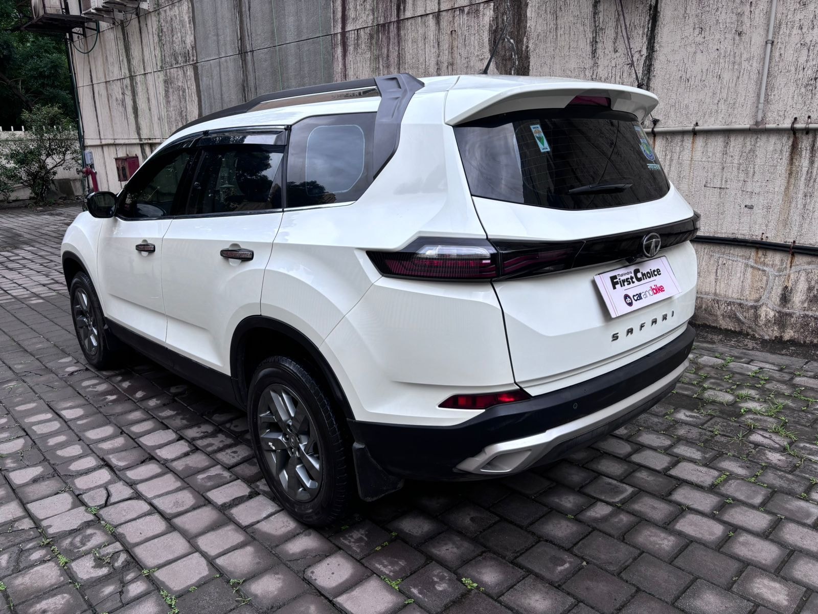 Safari image 2 Safari image 2