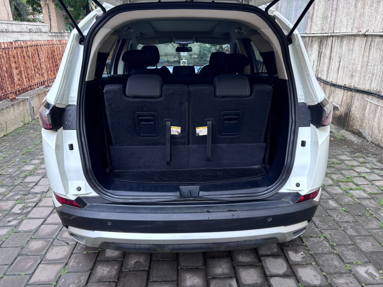 Safari image 3 Safari image 3