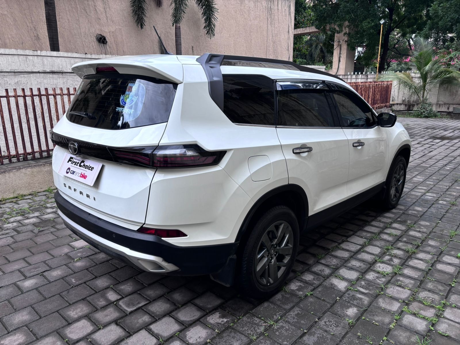 Safari image 6 Safari image 6