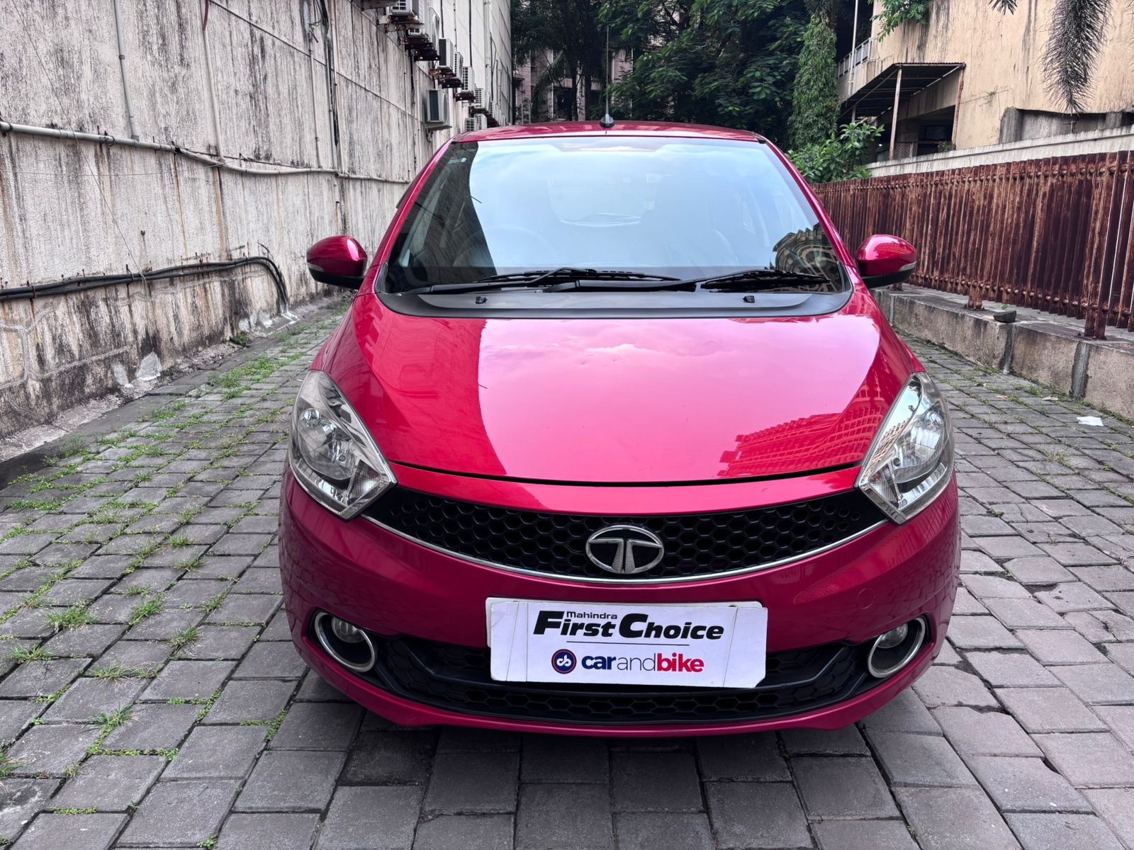 Tiago image 1 Tiago image 1