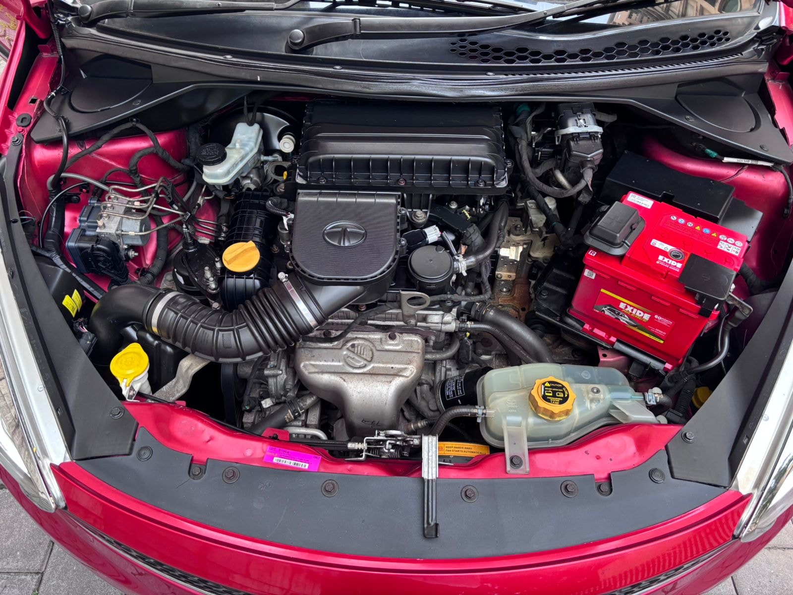 Tiago image 5 Tiago image 5