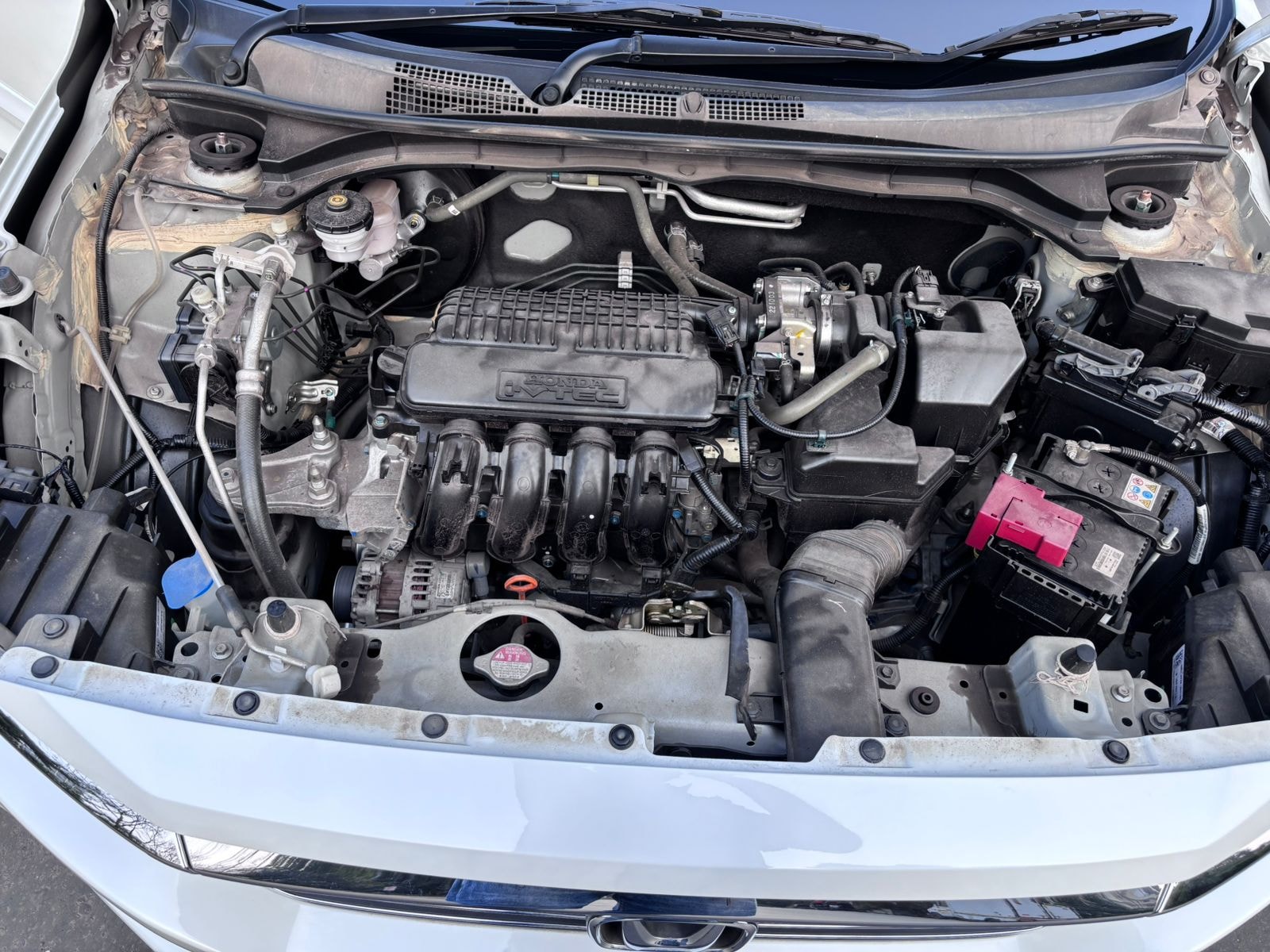 Amaze image 3 Amaze image 3