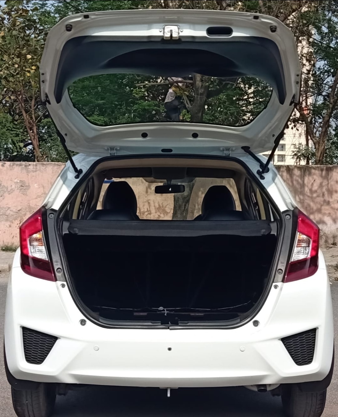 Jazz image 10 Jazz image 10