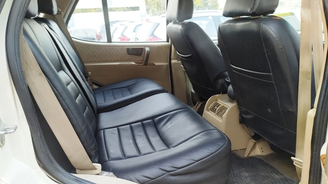 Safari image 7 Safari image 7