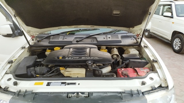 Safari image 17 Safari image 17