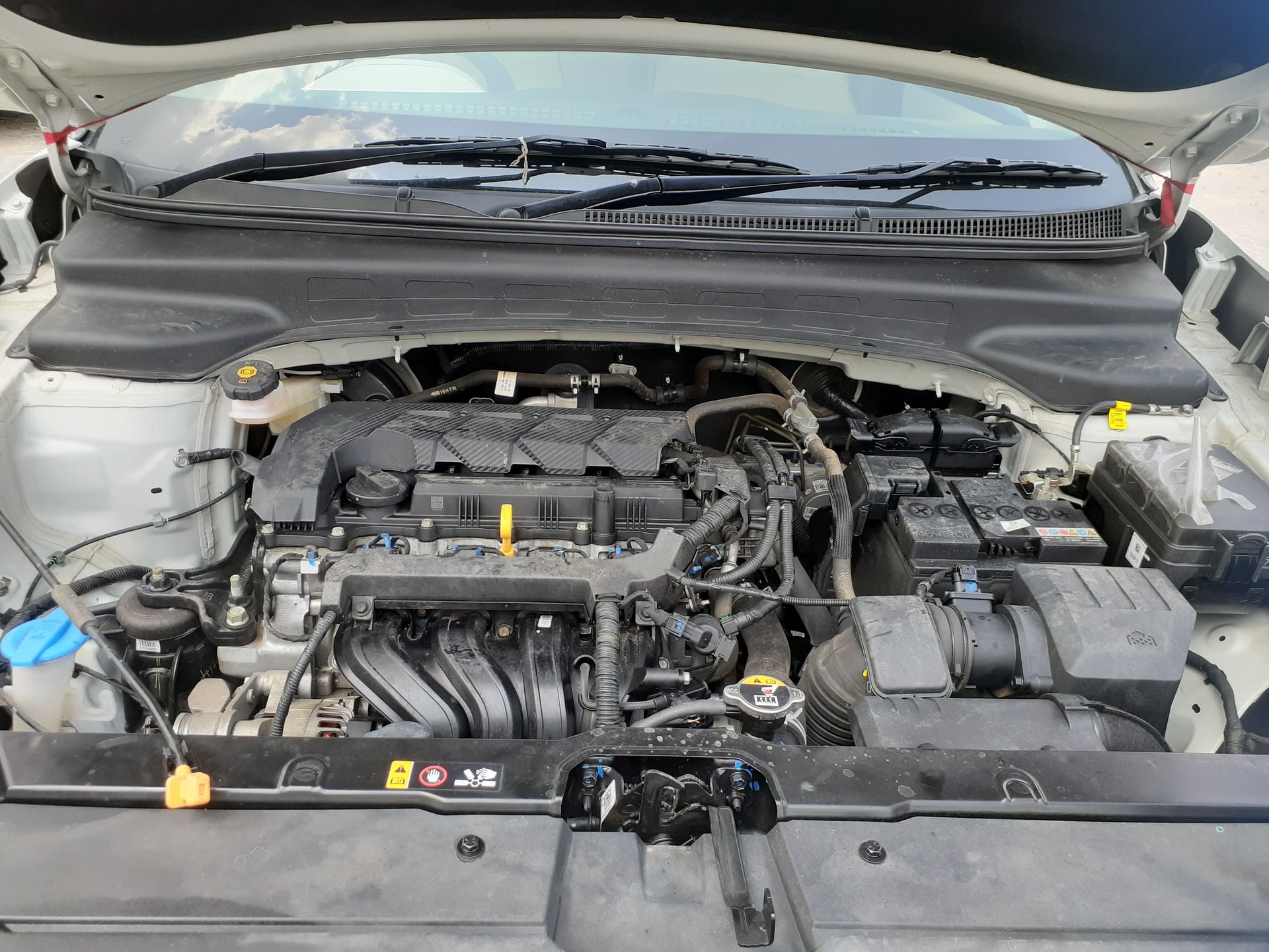 Creta image 9 Creta image 9