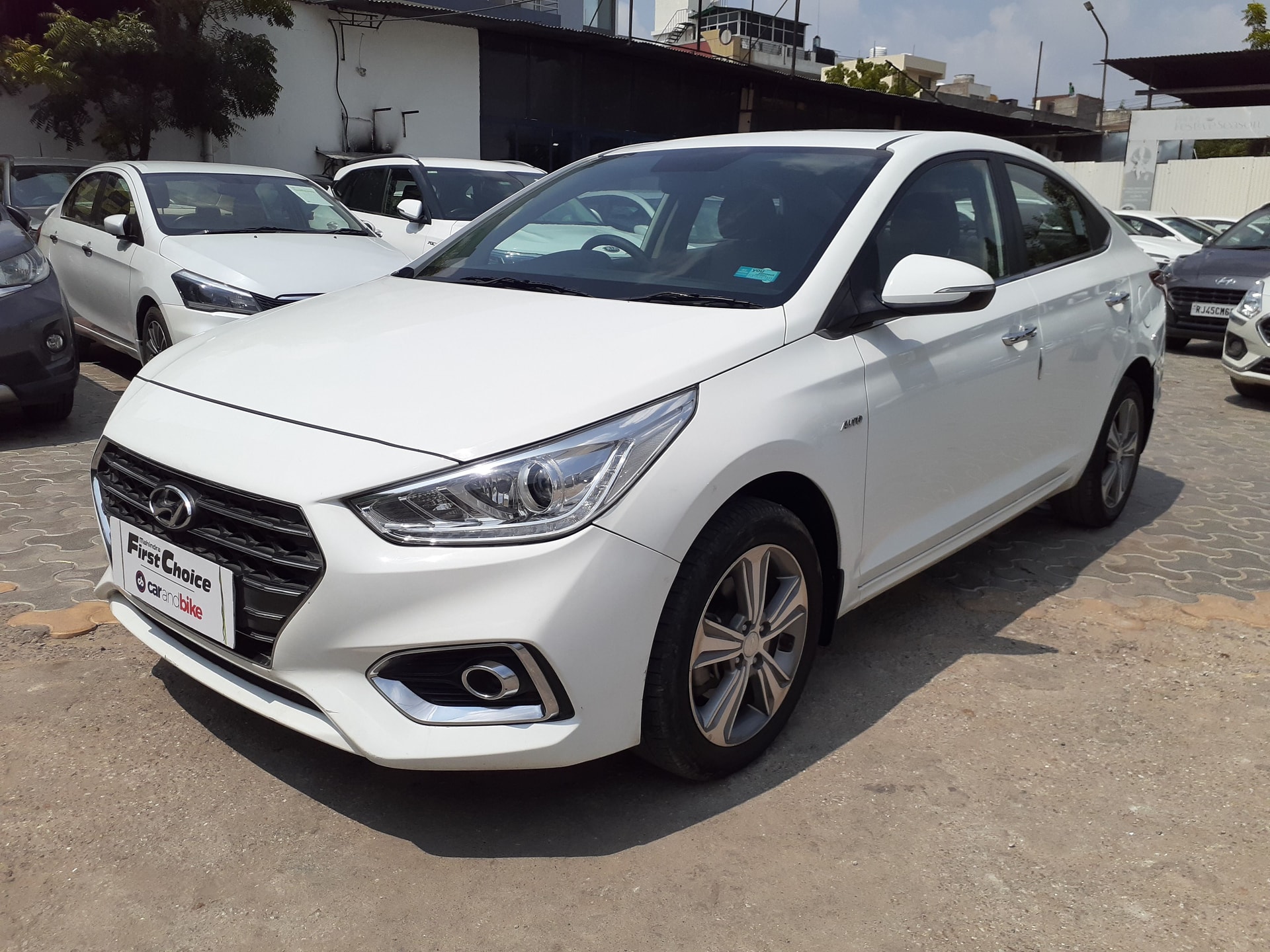 Verna image 2 Verna image 2