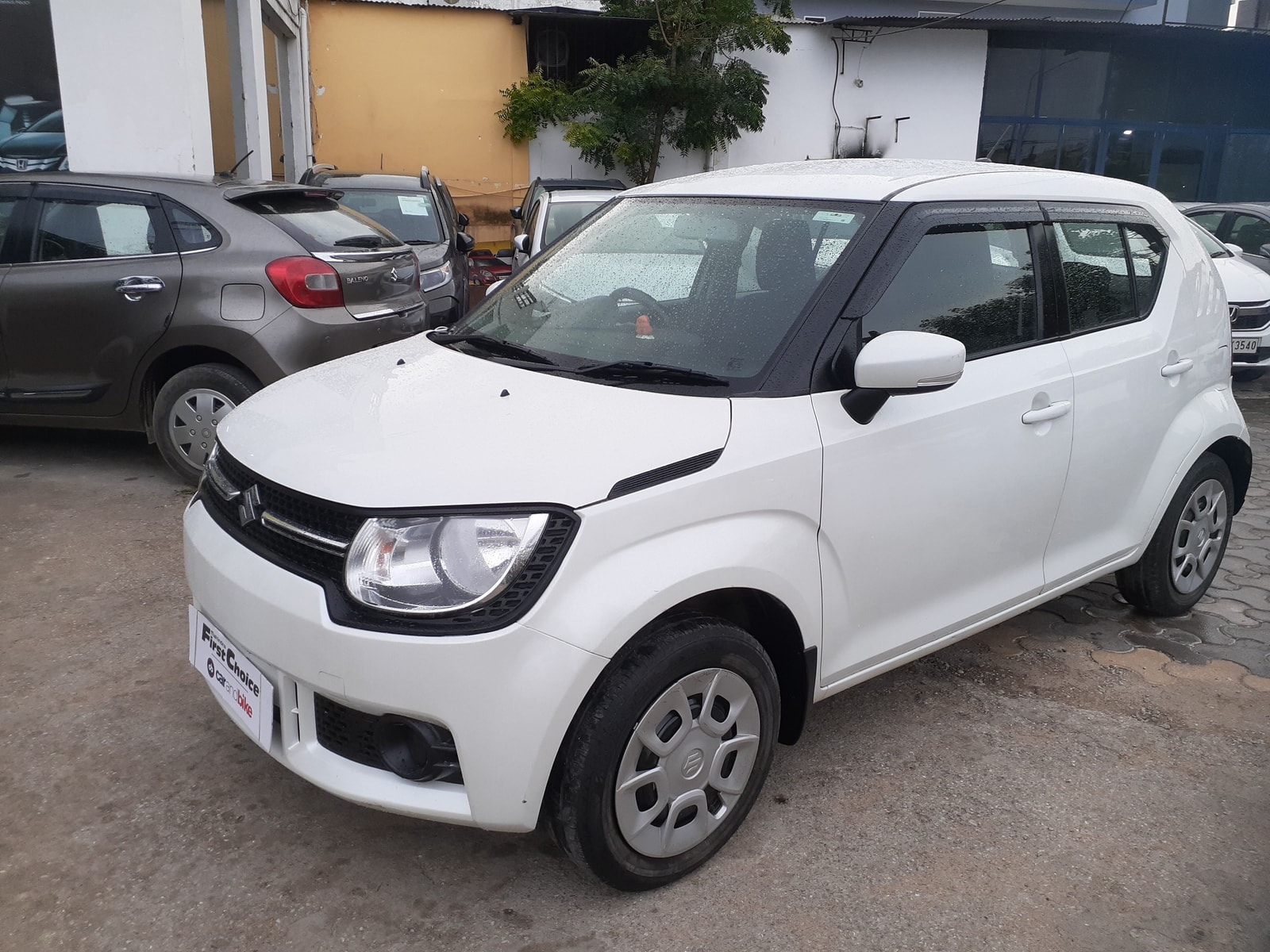 Ignis image 1 Ignis image 1