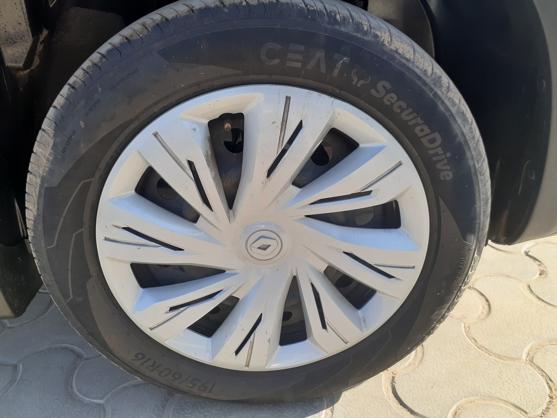 Kiger image 8 Kiger image 8