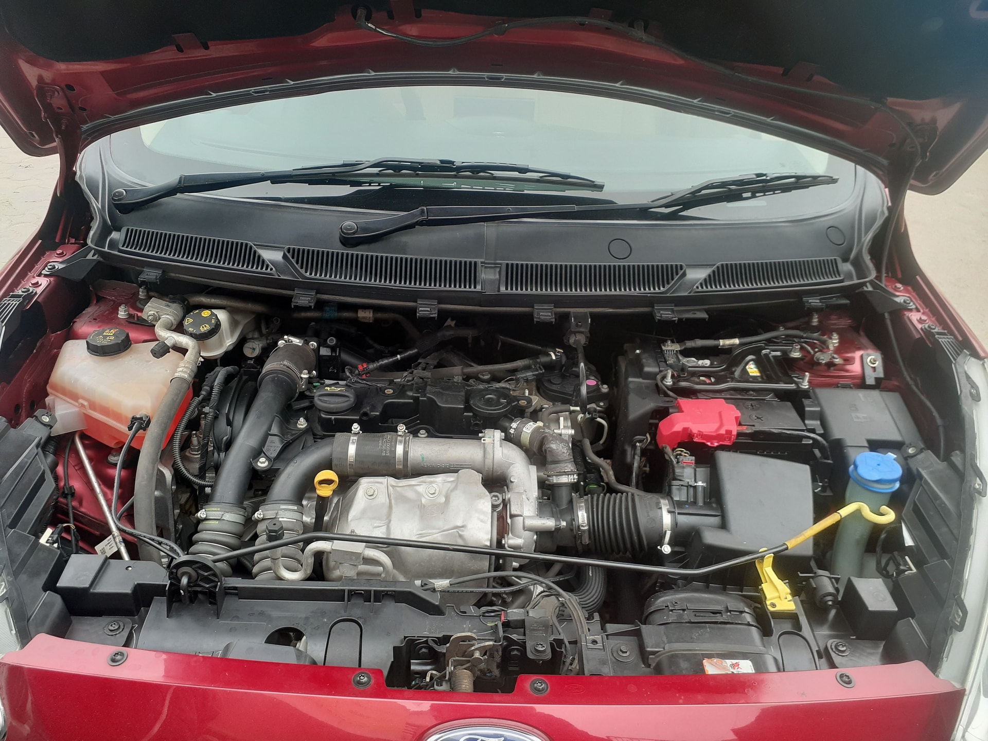Figo Aspire image 9 Figo Aspire image 9