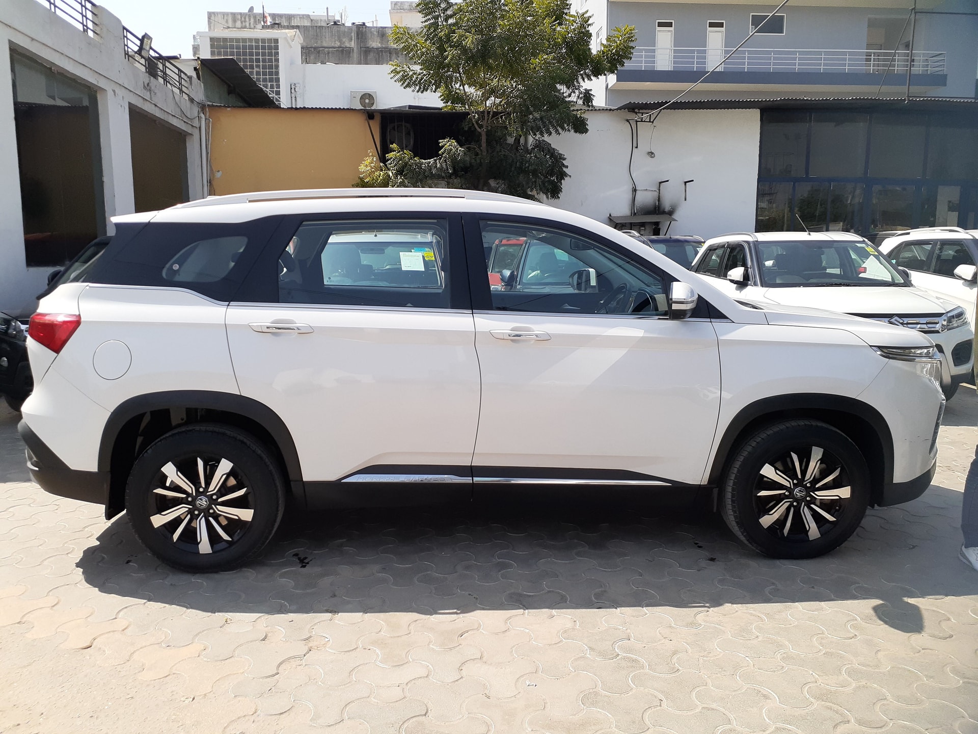 Hector image 6 Hector image 6