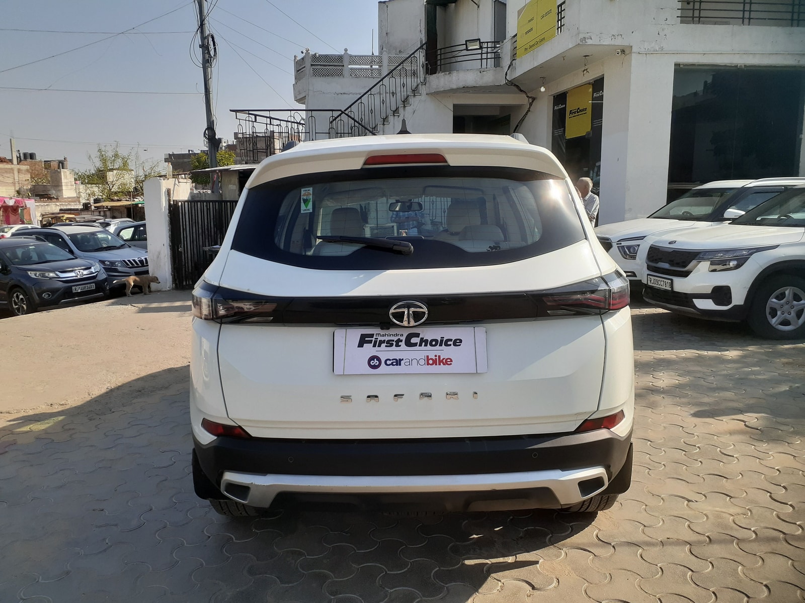 Safari image 4 Safari image 4