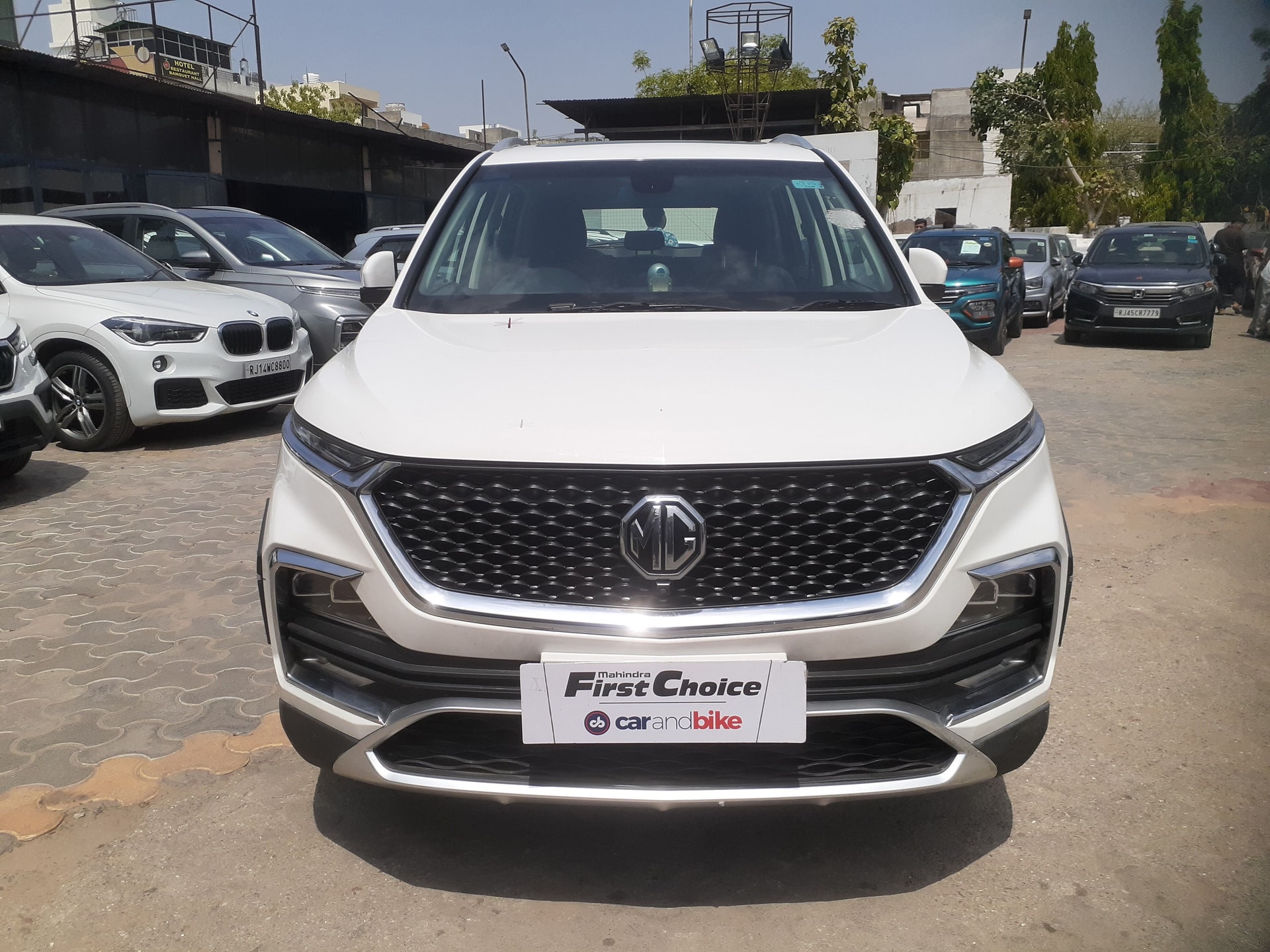 Hector image 8 Hector image 8