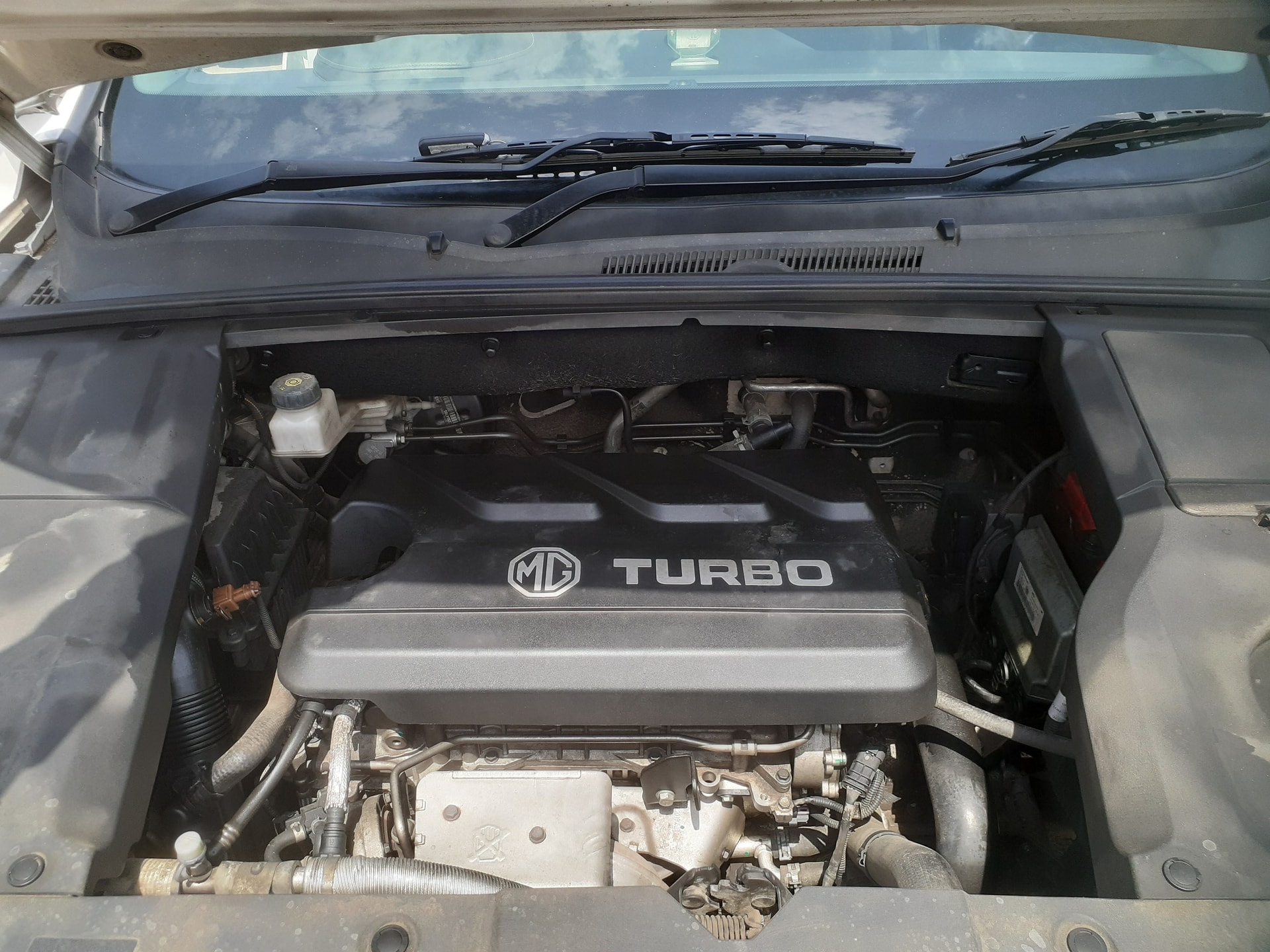 Hector image 10 Hector image 10