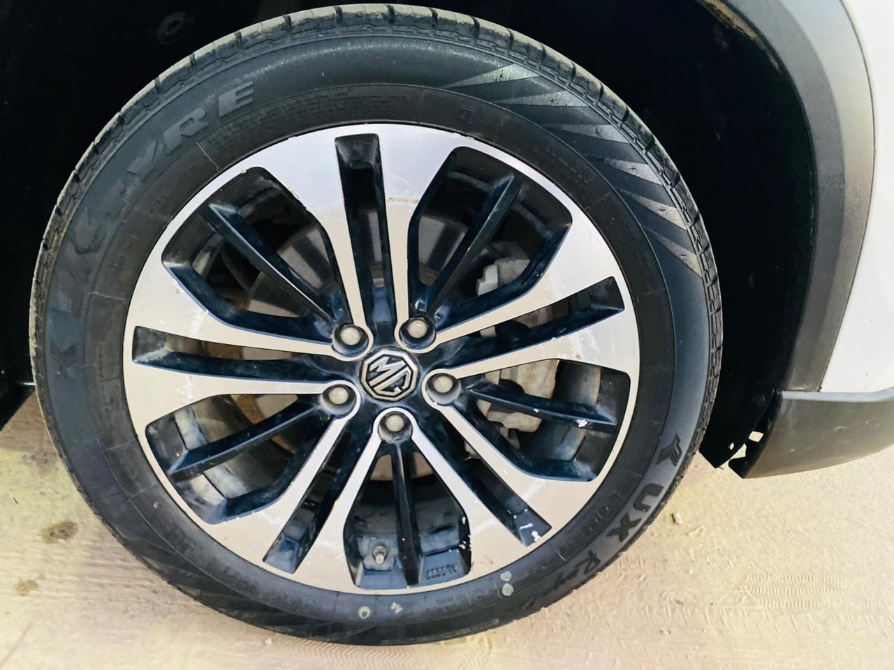 Hector image 5 Hector image 5