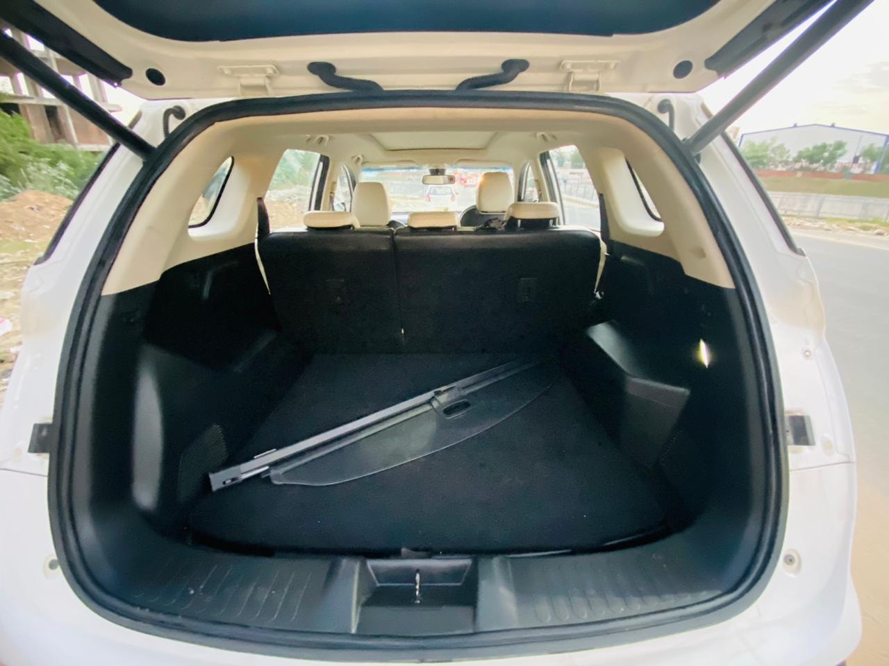 Hector image 13 Hector image 13