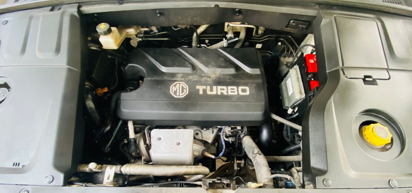 Hector image 12 Hector image 12