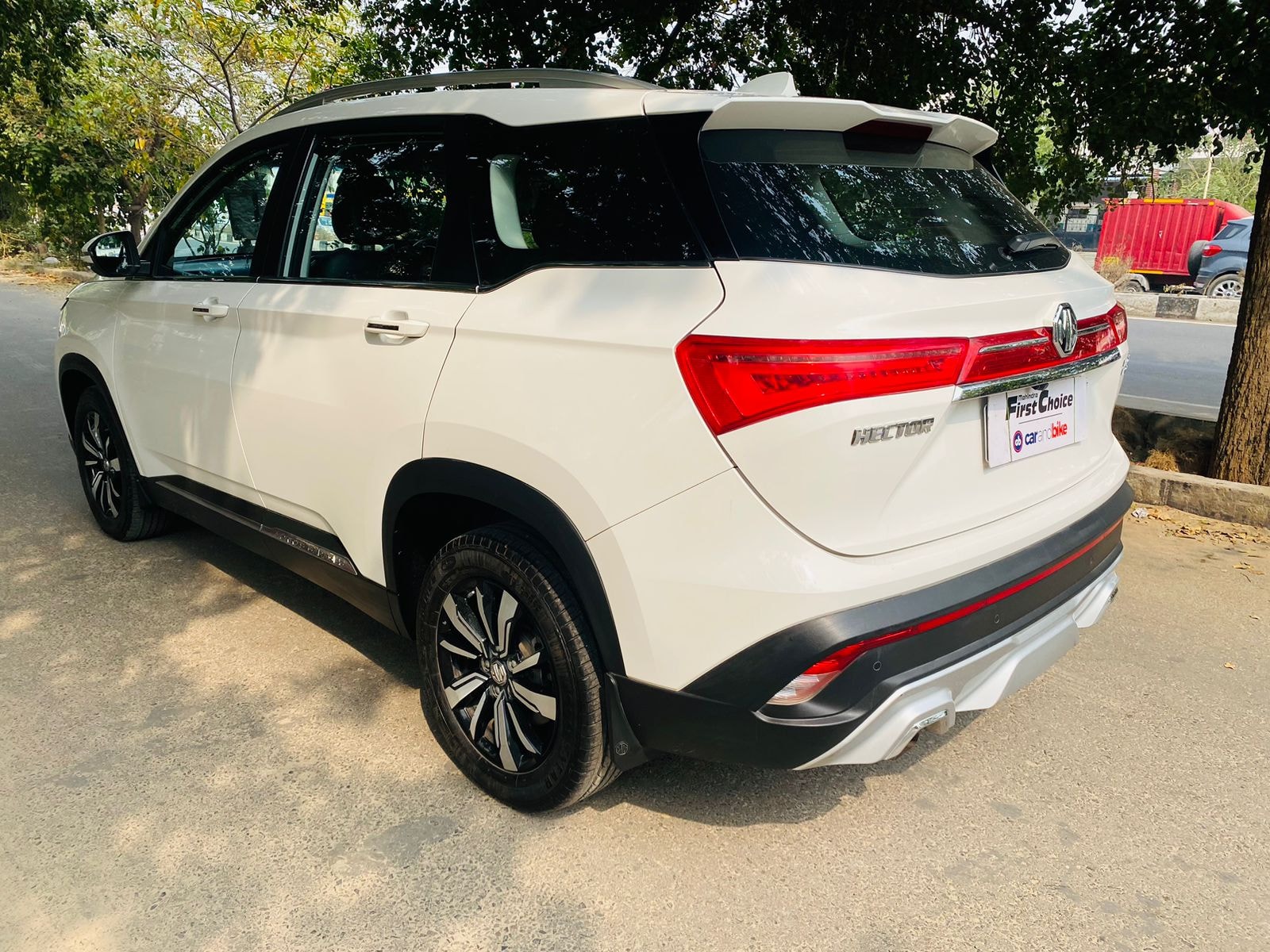 Hector image 2 Hector image 2