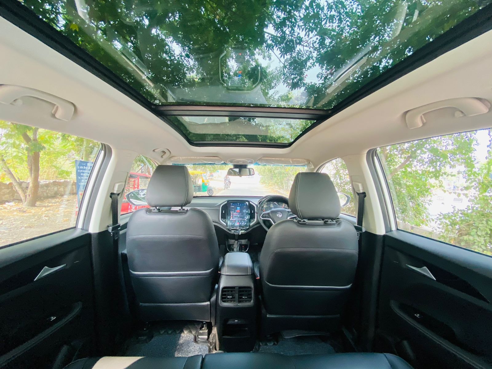 Hector image 10 Hector image 10