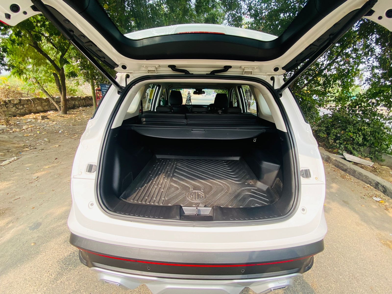 Hector image 9 Hector image 9