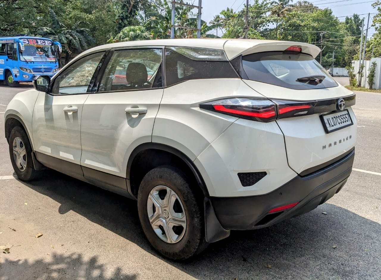 Harrier image 2 Harrier image 2