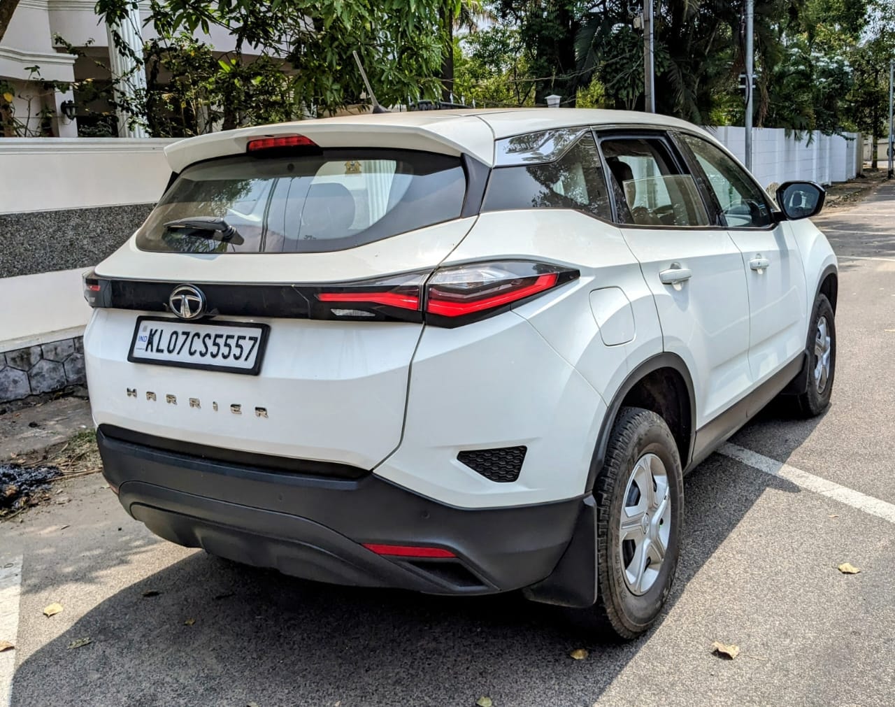 Harrier image 4 Harrier image 4