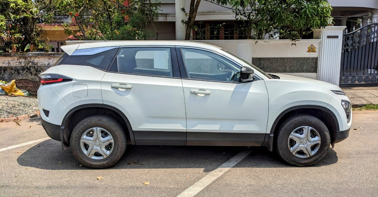 Harrier image 5 Harrier image 5