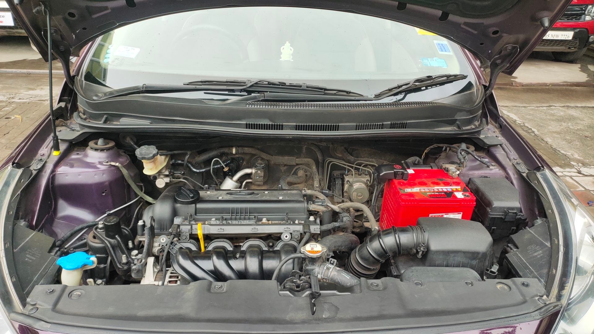 Verna image 13 Verna image 13