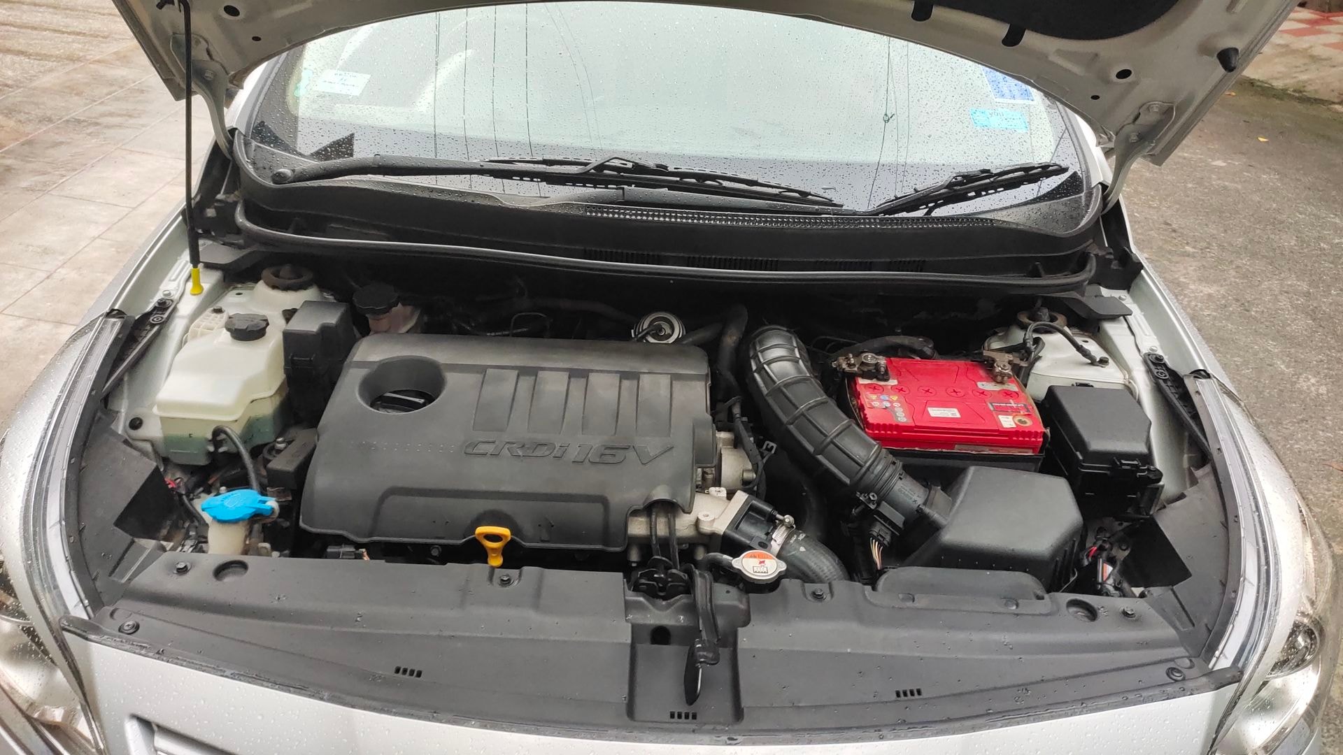 Verna image 13 Verna image 13