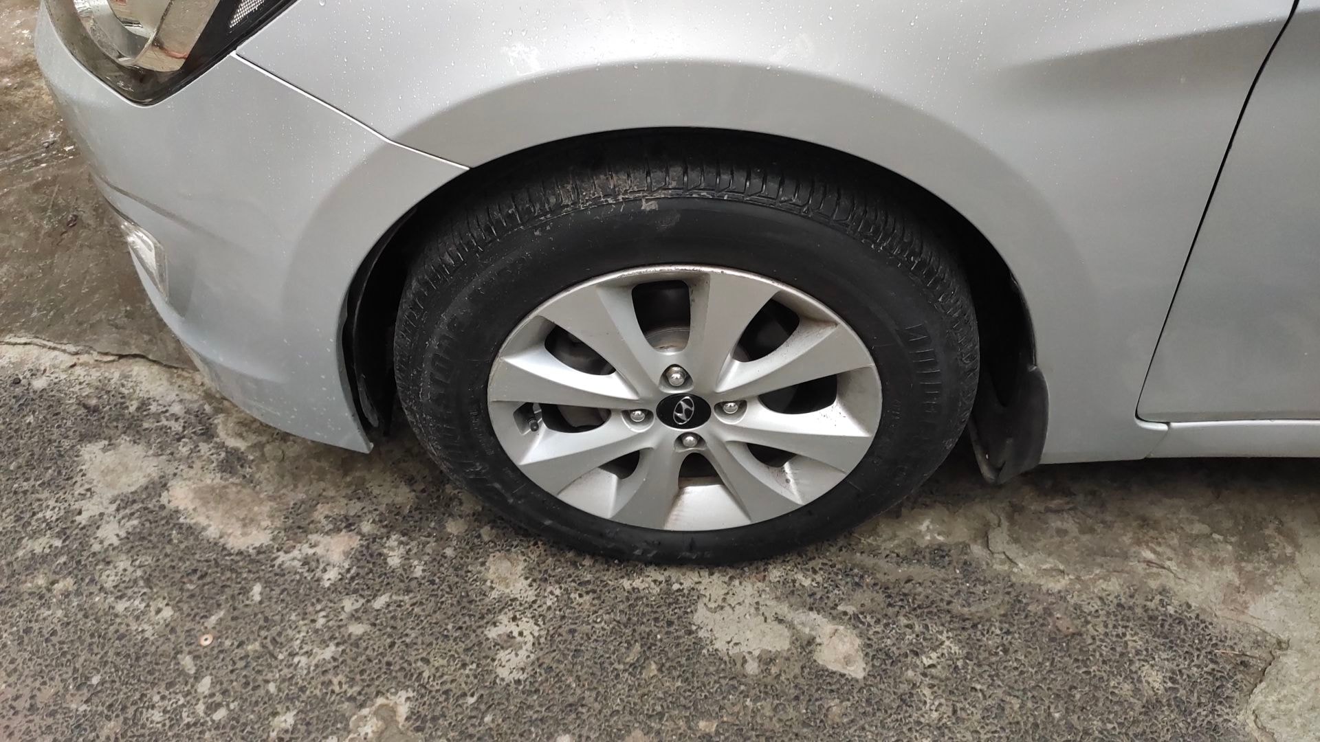 Verna image 10 Verna image 10