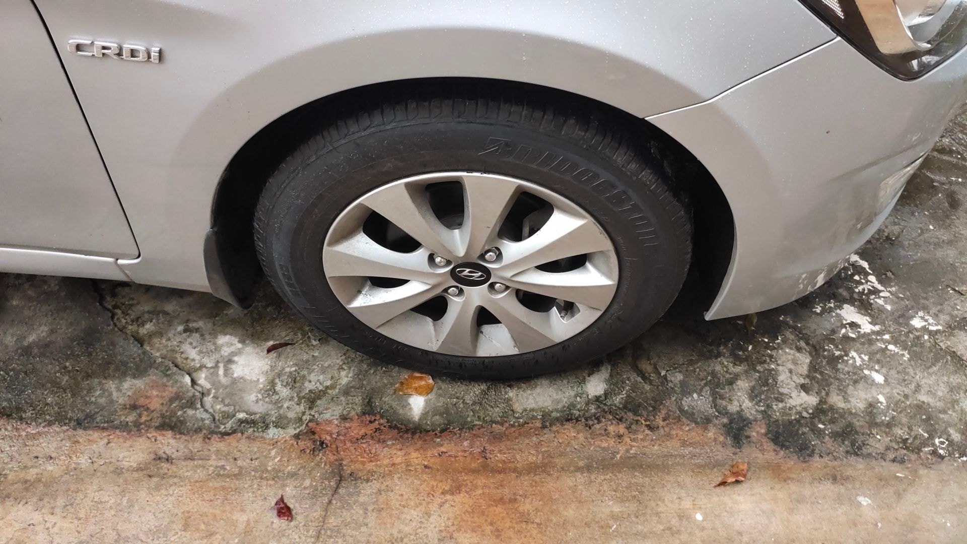 Verna image 9 Verna image 9