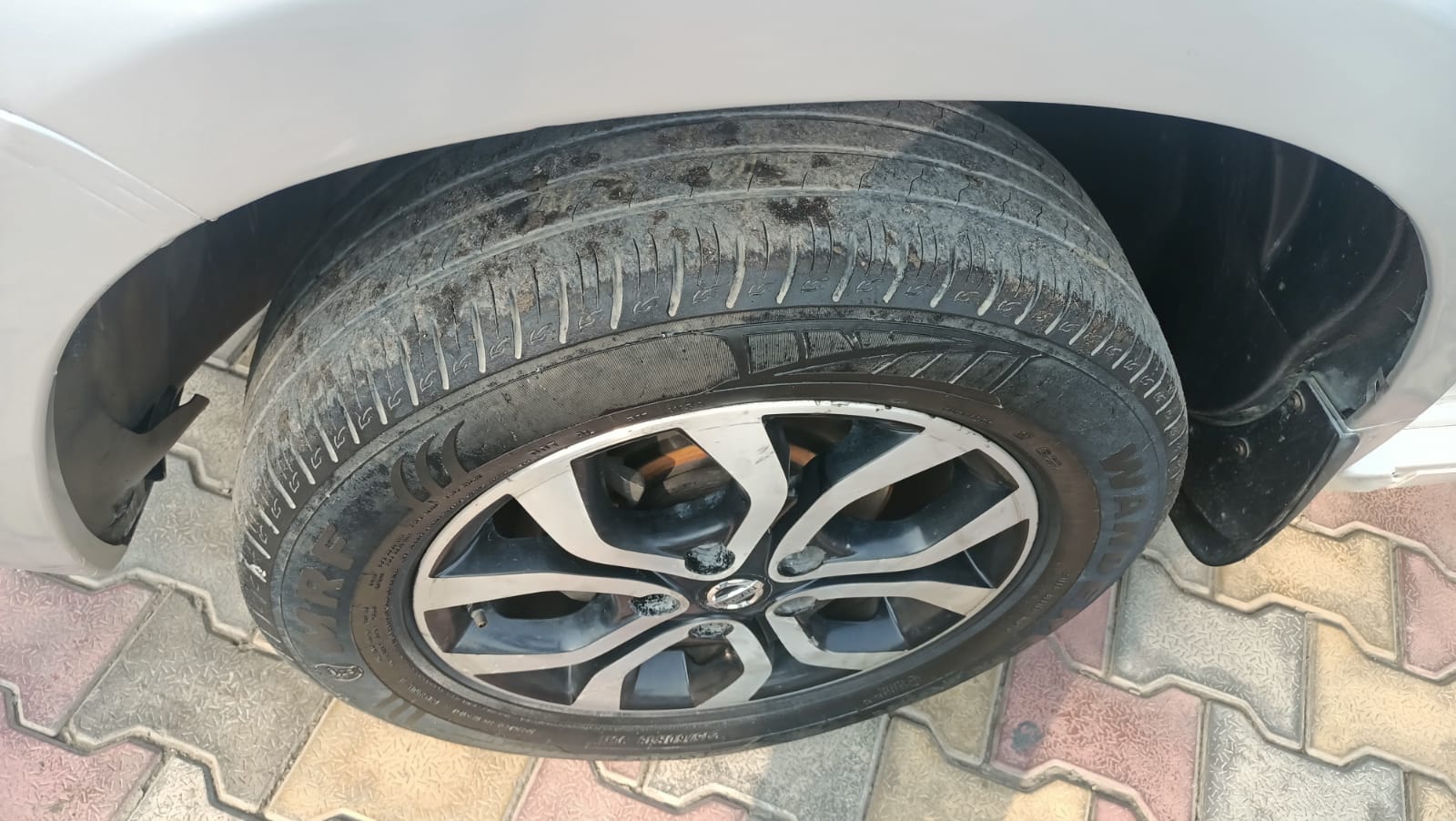 Terrano image 10 Terrano image 10