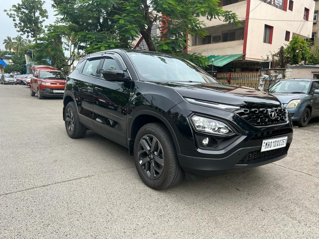 Harrier image 2 Harrier image 2