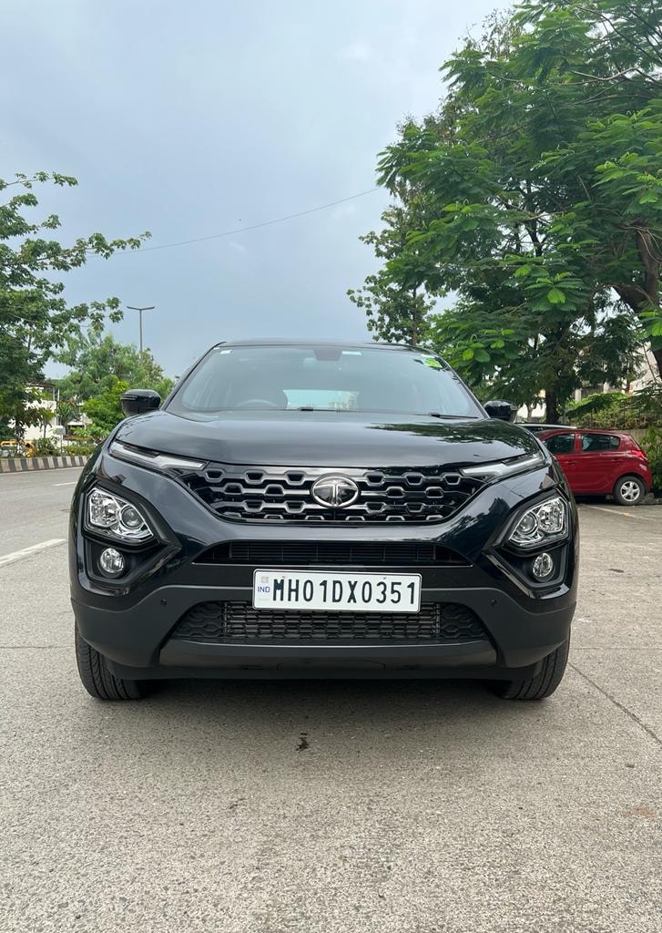 Harrier image 3 Harrier image 3