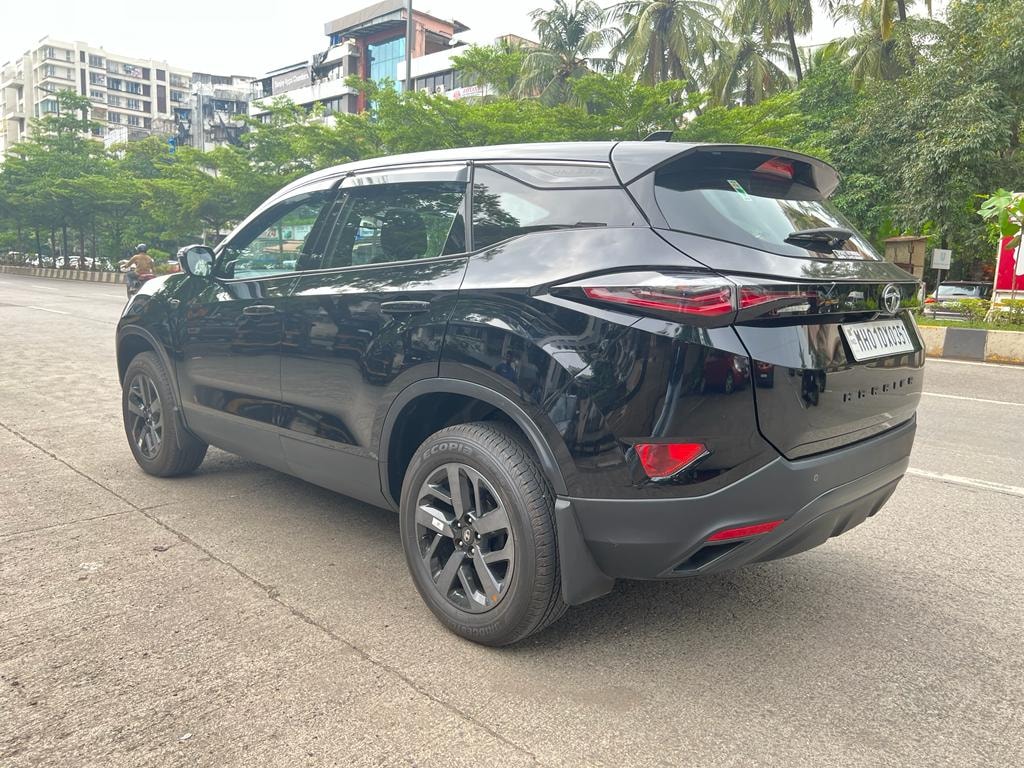 Harrier image 5 Harrier image 5