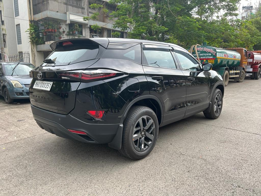 Harrier image 6 Harrier image 6