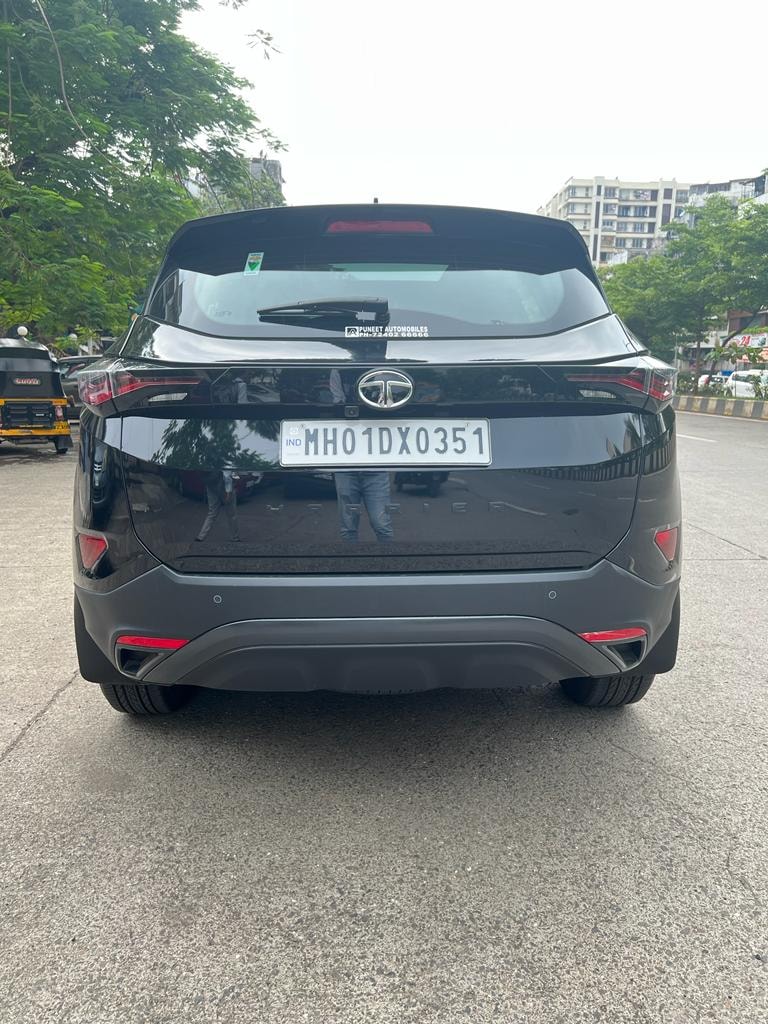 Harrier image 7 Harrier image 7