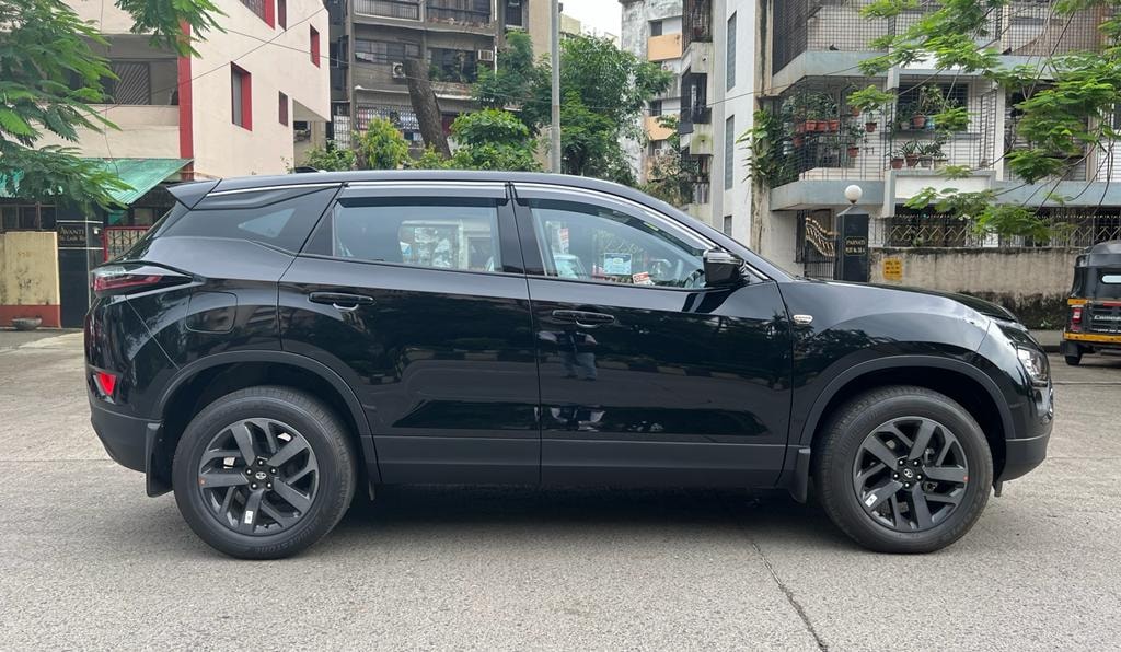 Harrier image 8 Harrier image 8