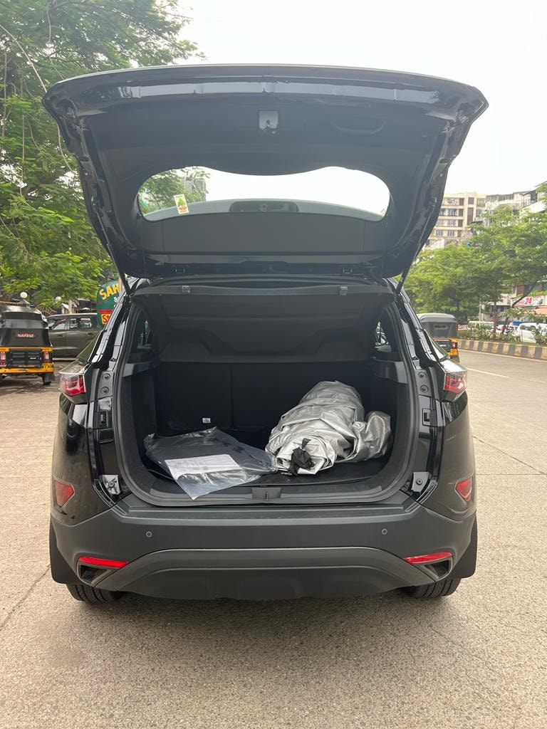 Harrier image 9 Harrier image 9