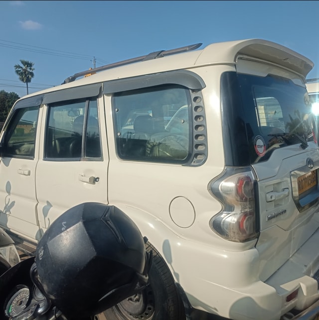 Image 4 Image 4