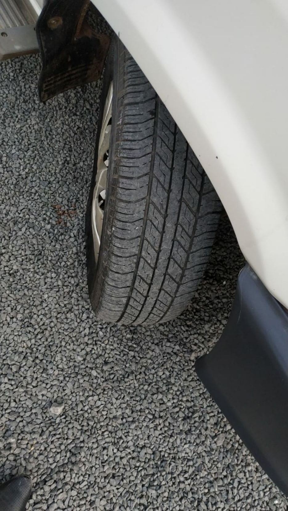 Qualis image 8 Qualis image 8