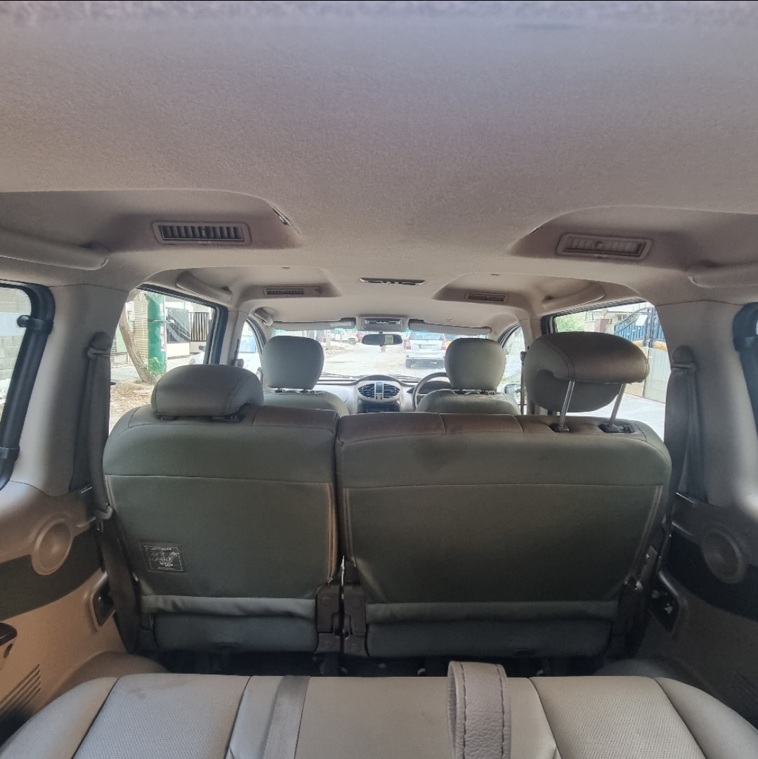 Xylo image 13 Xylo image 13