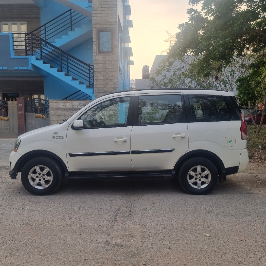 Xylo image 4 Xylo image 4