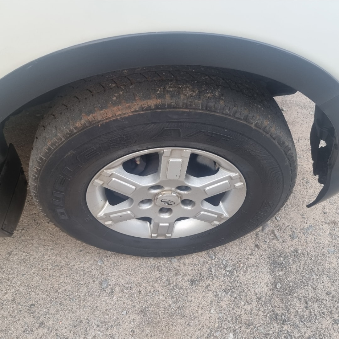 Xylo image 10 Xylo image 10